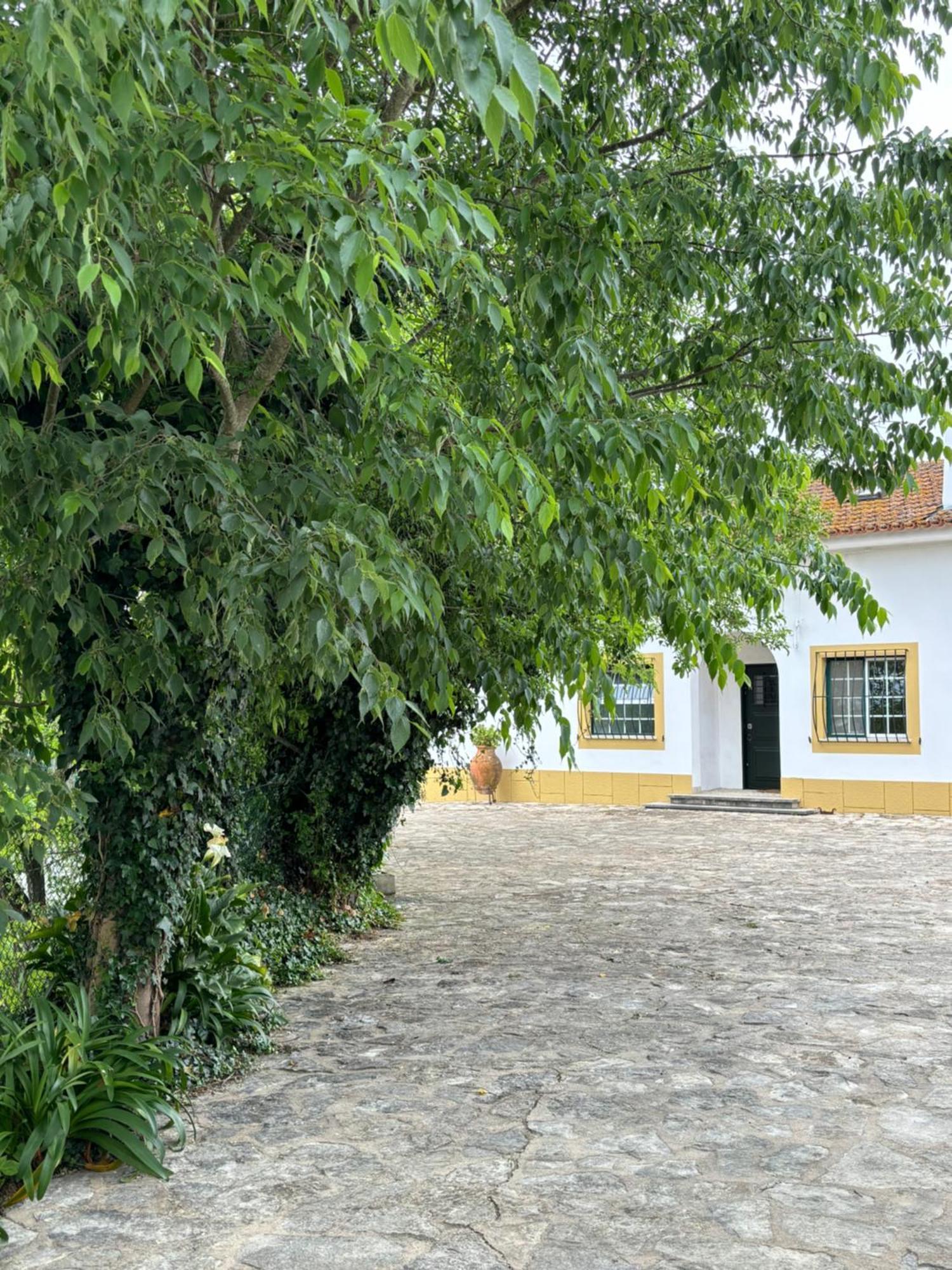 הוילה טומאר Casa Da Nogueira מראה חיצוני תמונה
